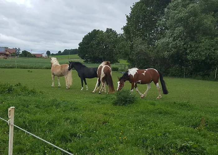 Reiterhof Vom Litzlbach Lägenhet *