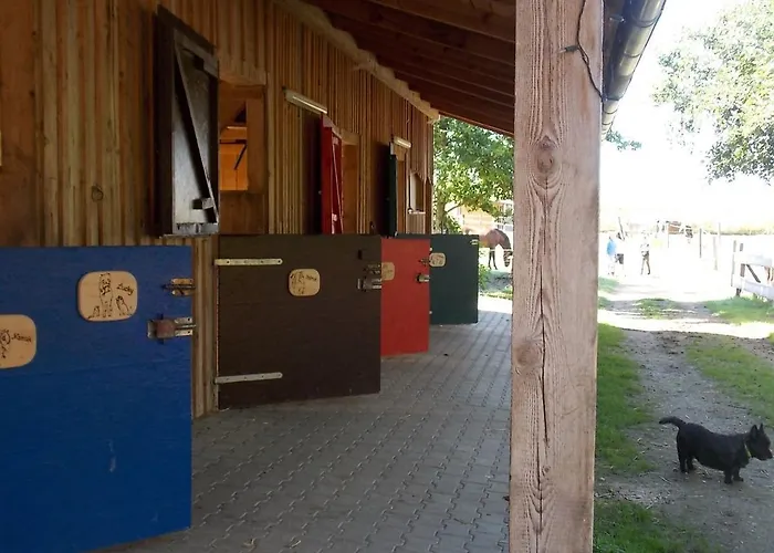 Lägenhet Reiterhof Vom Litzlbach Langquaid
